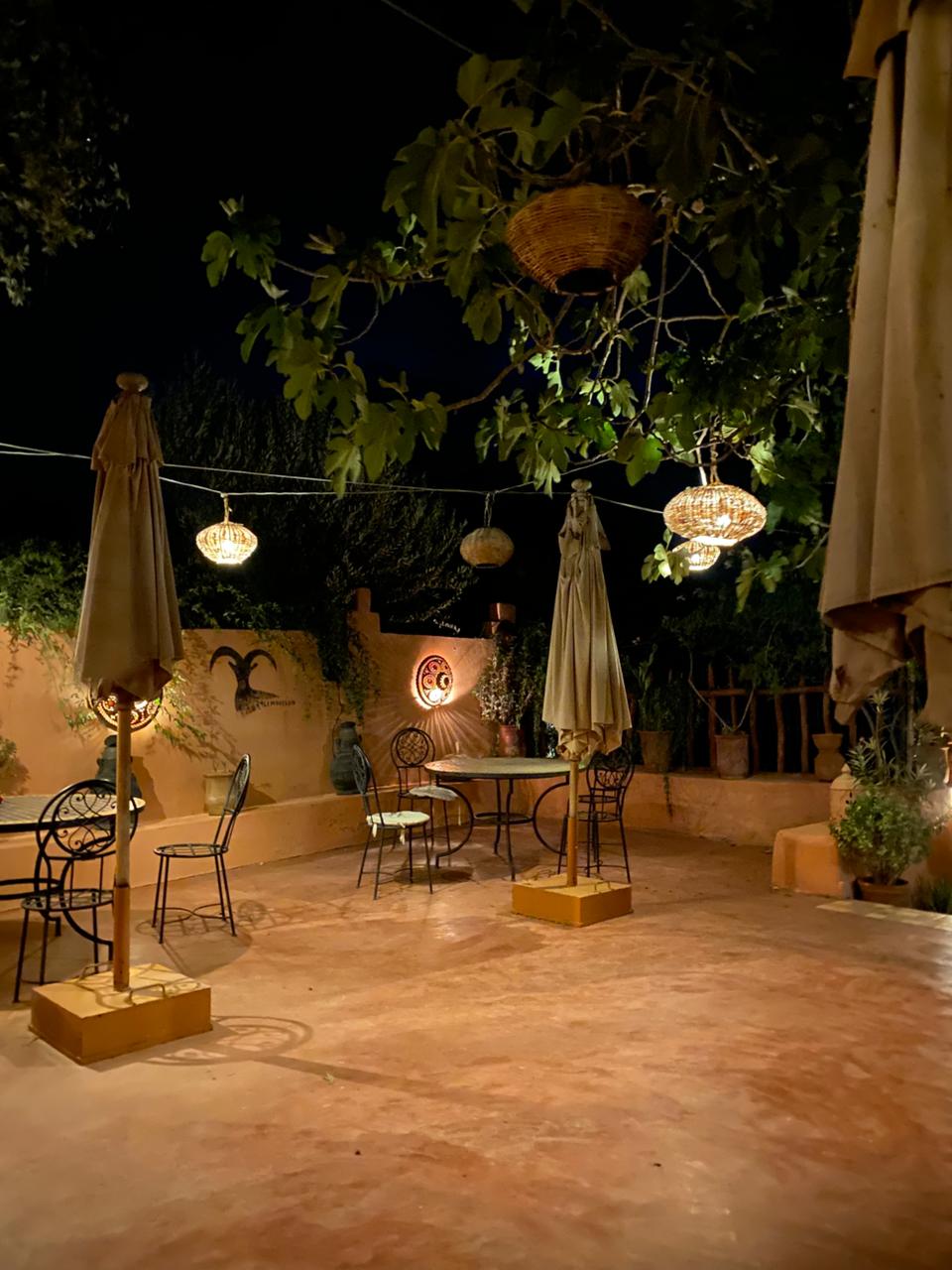 WhatsApp Image 2025-10-07 at 20.38.46 (2)